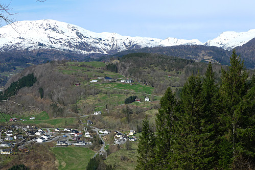 Usikt mot Hellestveitåsen fra veien mot Melstveit
