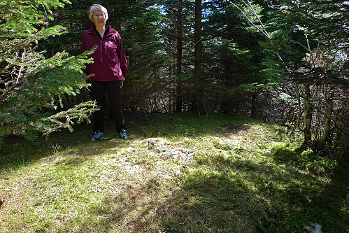 Solskinn på toppen av Melstveitåsen!
