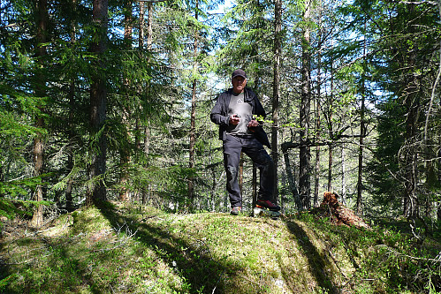Høyeste punkt på Grauaåsen. Foto: Astrid