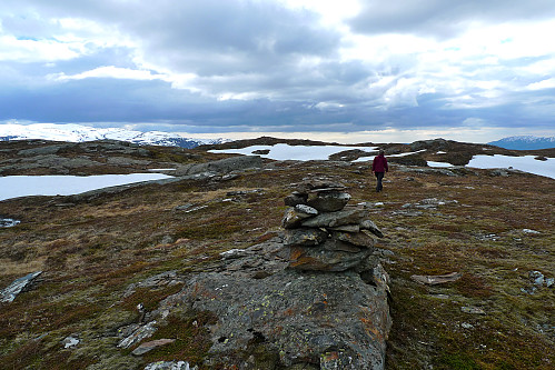 Varde ca. 250 m ØNØ for høyeste topp på Børdalsfjellet som skimtes i bakgrunnen