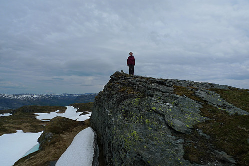 Astrid på toppen av Flæfjellet