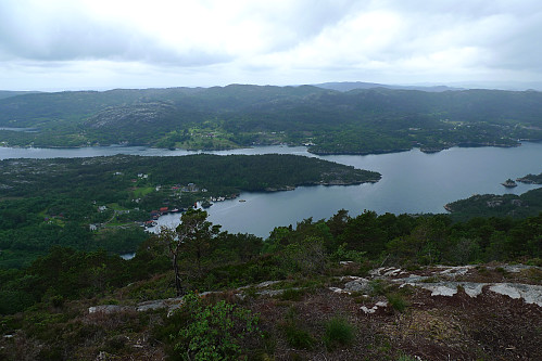 Fra toppen mot Hattarvågen og Steinsvik