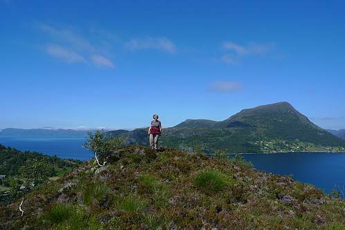 Astrid på Venøyas høyeste punkt. Barmen med Skjolden 545 moh i bakgrunnen