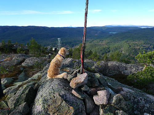 Ayla koste seg på turen! Telemast og hytte i bakgrunnen