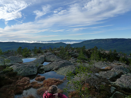 Oppe på det fine topp-platået