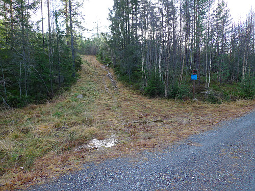 Sti/skogsvei opp til venstre