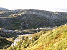 AnneliH_20210705_60e34513390f7.jpg