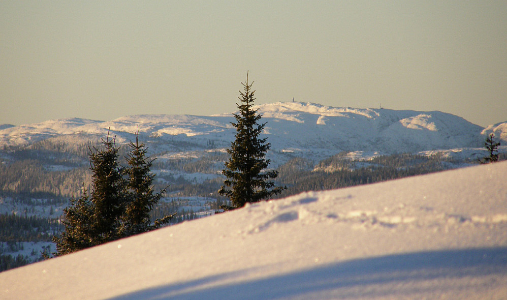 Olsøyheia (Naglen) ruver i vest