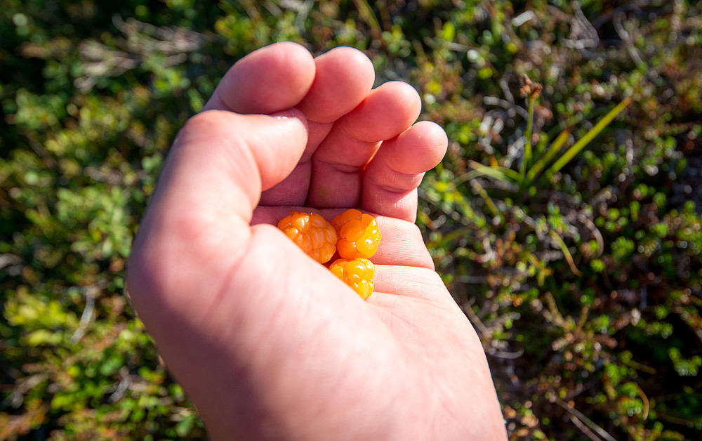 Påfyll av vitaminer på returen