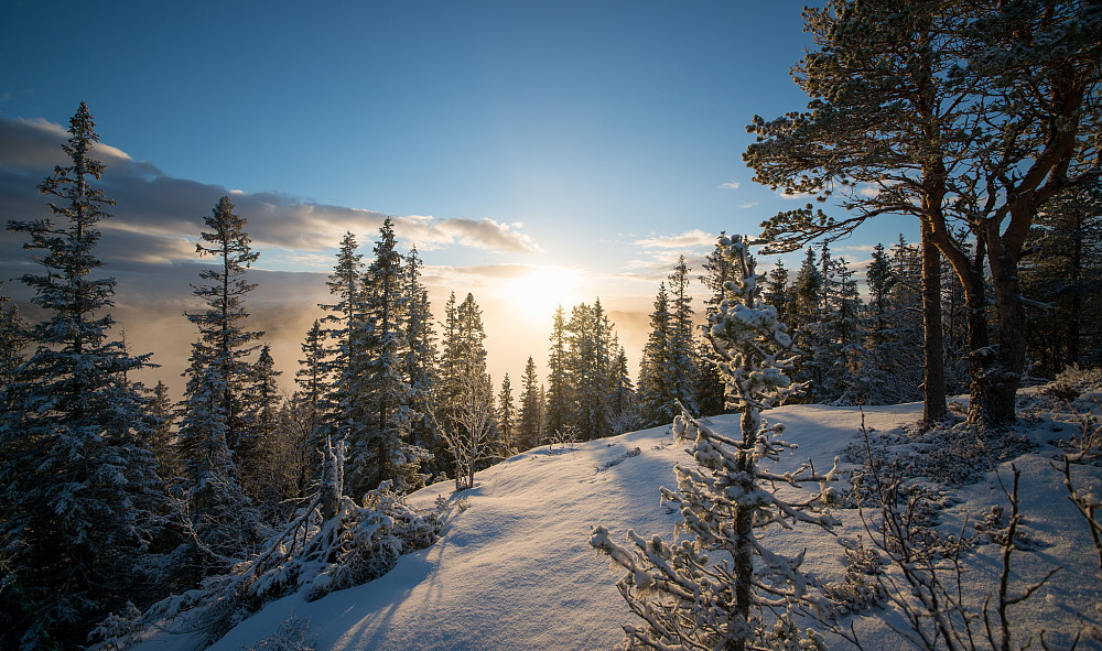 Utsikt fra Langåsåsen