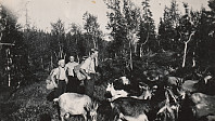 Þróndeimr_20200415_5e96b493ea266.jpg