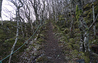 Þróndeimr_20210103_5ff1e5b80ac9e.jpg