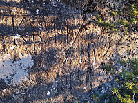 Þróndeimr_20210103_5ff1e611a0acb.jpg