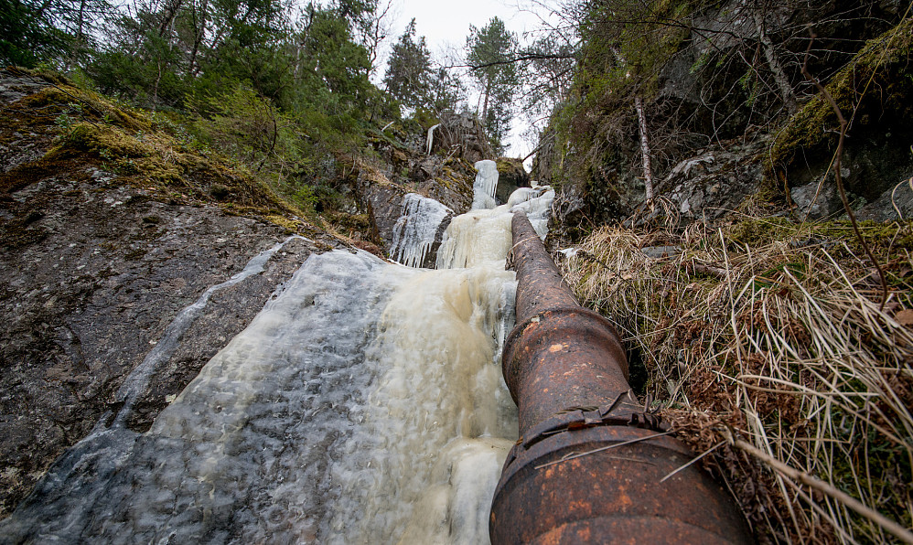 På tur opp til Våttåsen via bekken opp til Svarttjønna