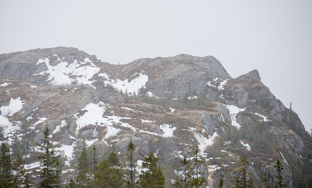Jervfjellet i snødrevet