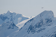þróndeimr_dsc_5207x2048.jpg