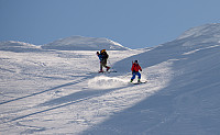þróndeimr_dsc_5223x2048.jpg