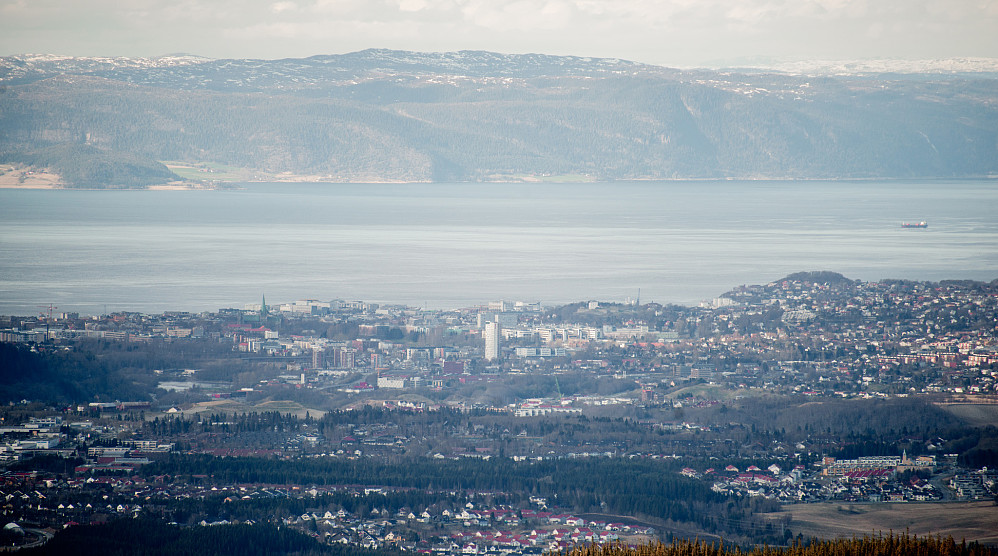Trønderhovedstaden