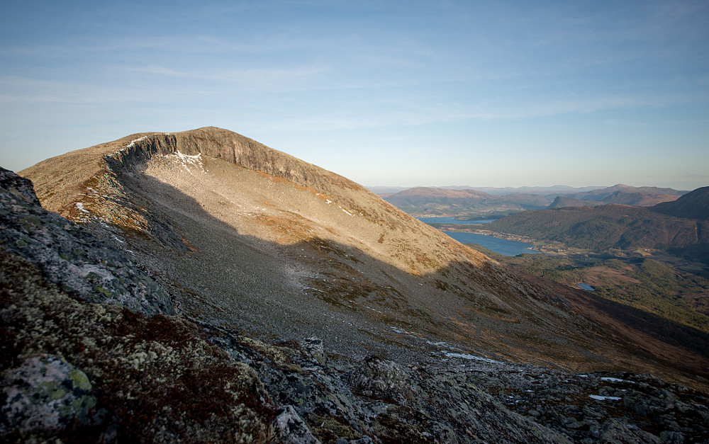 Smisetnebba fra Nordre Blåviddalfjellet
