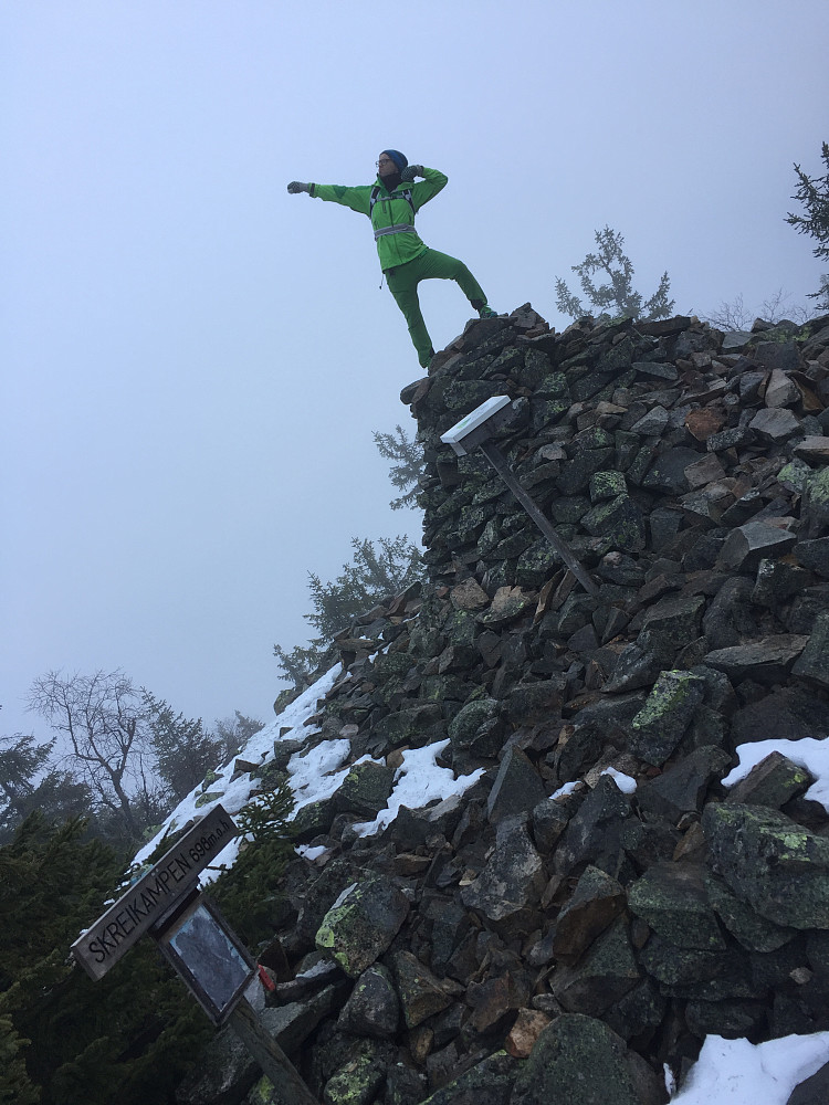 Skreikampen