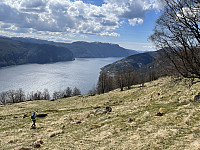 Sola_20210508_60969d1f0693a.jpeg