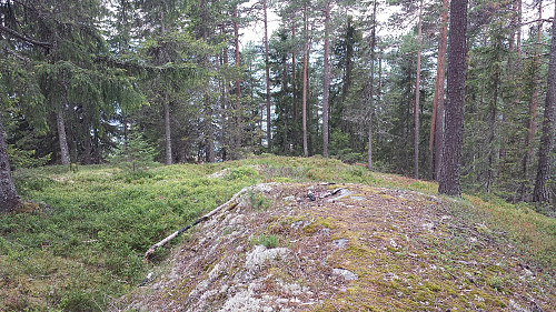 Toppunktet på Rundhaugen