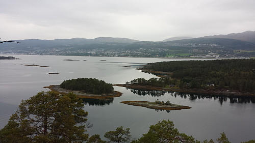 Utsikt mot Molde fra Fårøytoppen