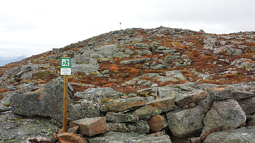 Høyeste punkt i Ålesund like før toppunktet på Vasstrandsegga

