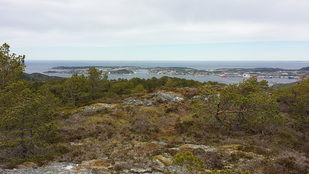 På Midtfjellet - utsikt mot Kristiansund