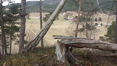 På Malmhaugen - mot øvre deler av Meisingset