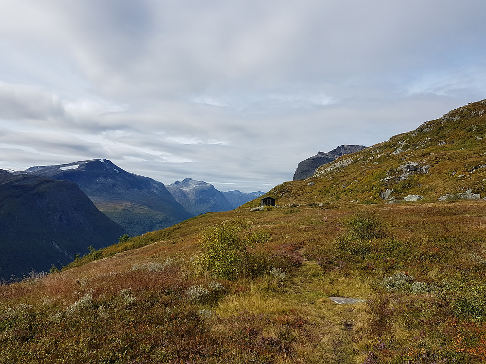 Fint oppe på hylla over skoggrensen - mot Kaldfonna, Litlkalkinn og Hoåsnebba