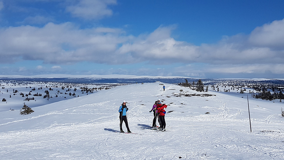 På Sjusjøfjellet