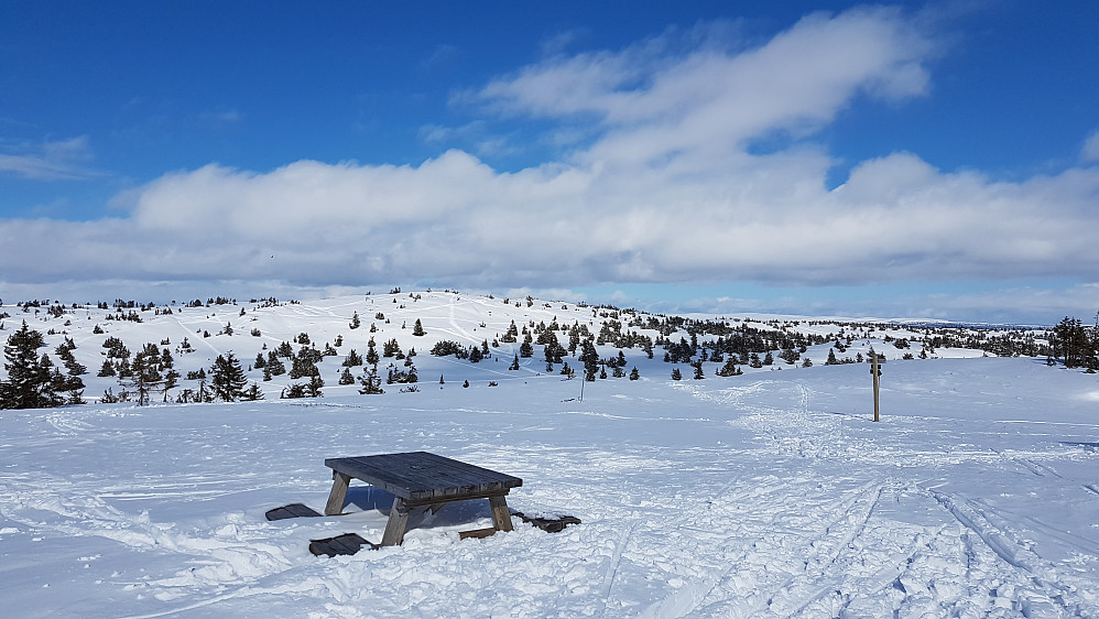 På Vesle Lunkefjell. Mot Sjusjøfjellet