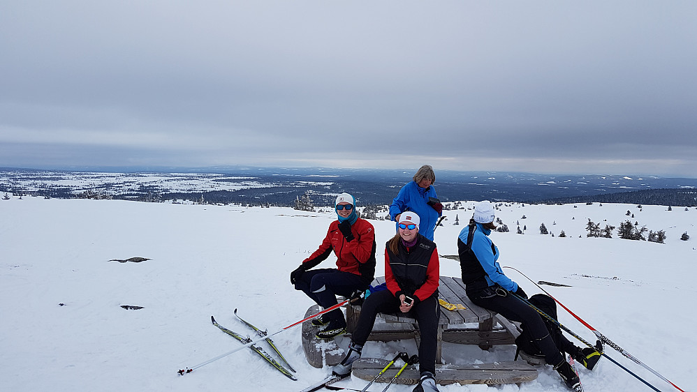 På Mostfjellet