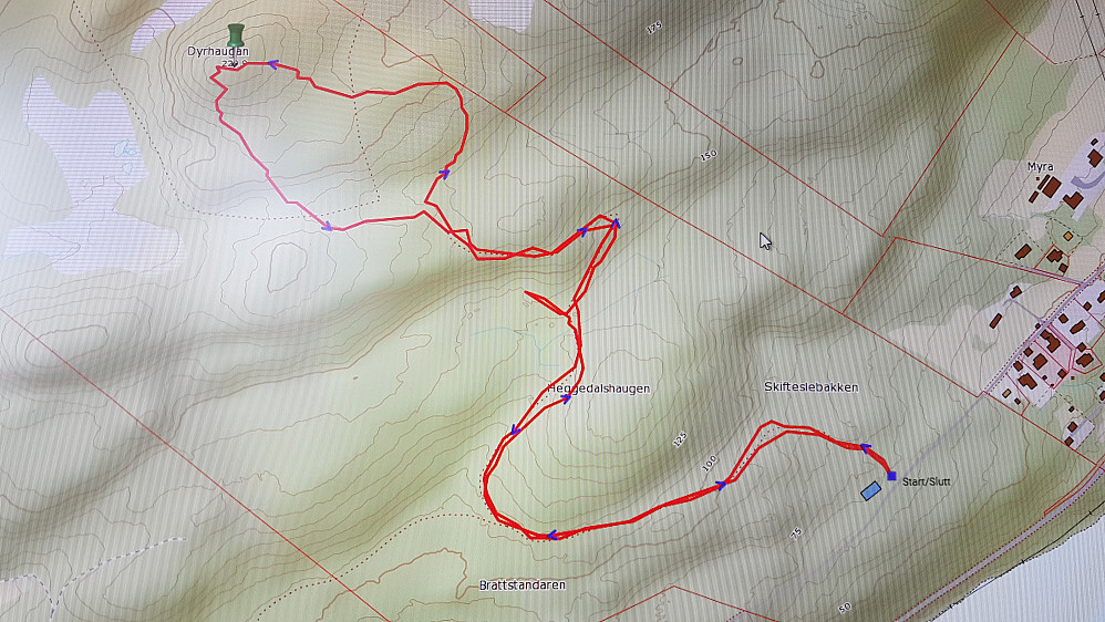 Ruta til Dyrhaugan
