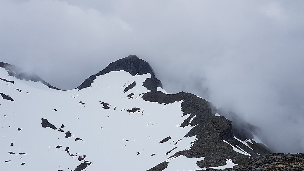 Storbotnshornet