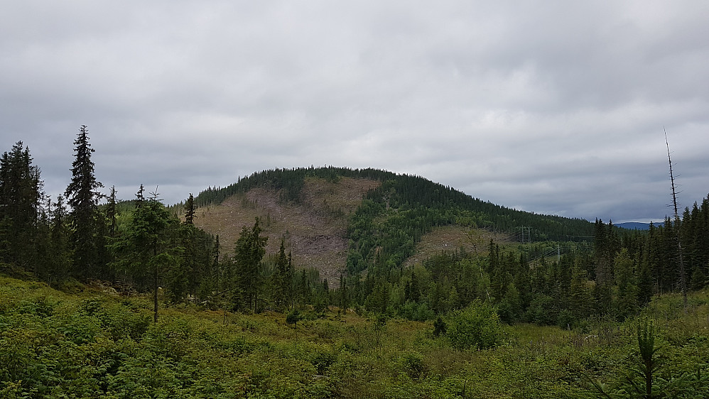 Balbergkampen