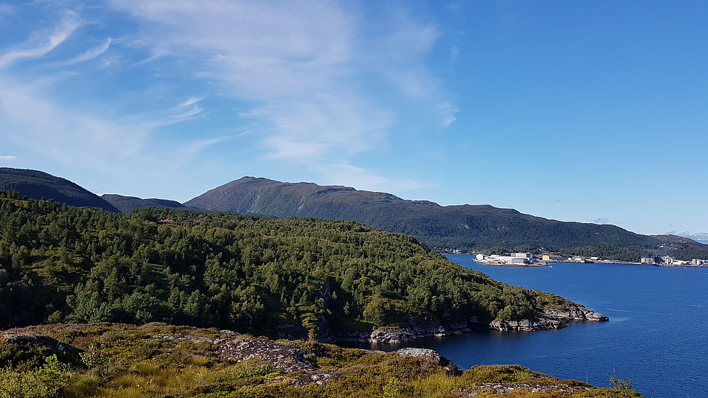 Freikollen i bakgrunnen