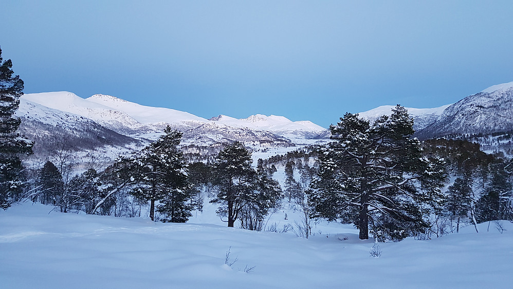 På Ulvshaugen 