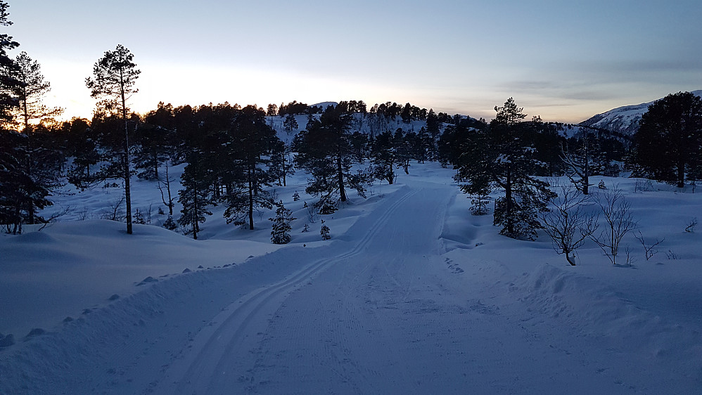Fint og kuppert på haugan
