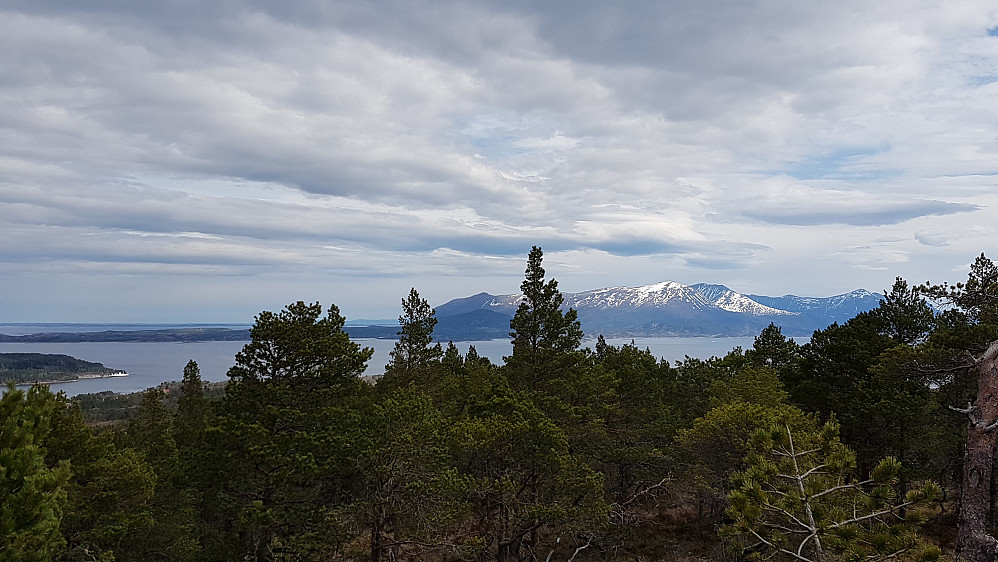 Mot Tustna (fra Seterhaugen) 