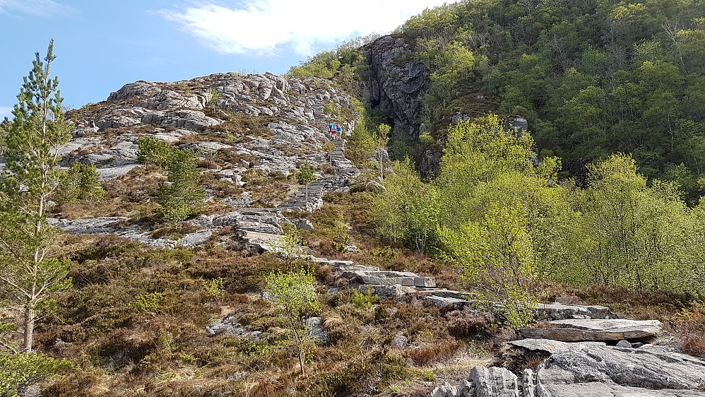 Starten på de nye trappene opp til ryggen på Rørsethornet (enormt arbeid som er lagt ned)