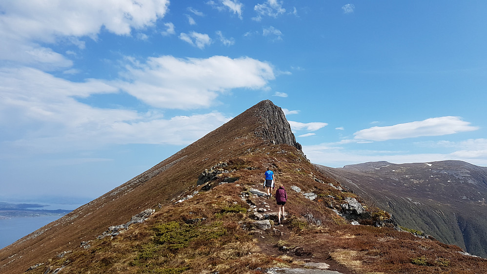 Rørsethornet