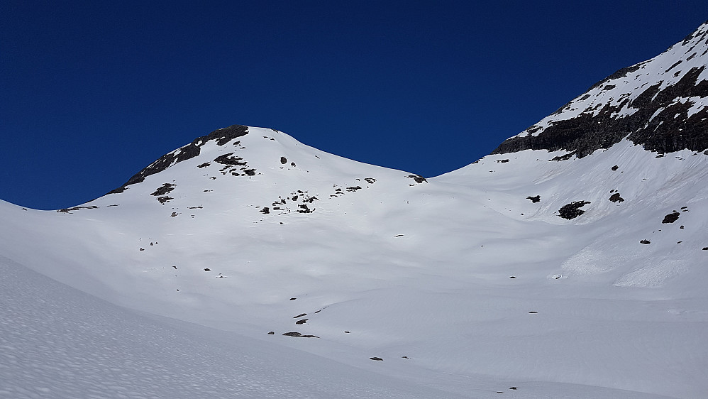 Mot Austre Småholtinden - ble førstemann hit etter åpningen av Trollstigen - helt uberørt fjellside :-)