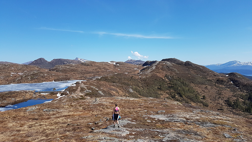 Moldemarka på sitt beste :-) 