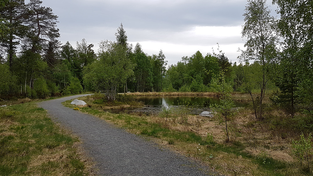 Sølvdammen