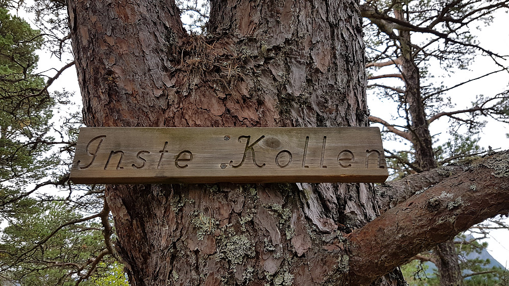 På INSTE KOLLEN 
