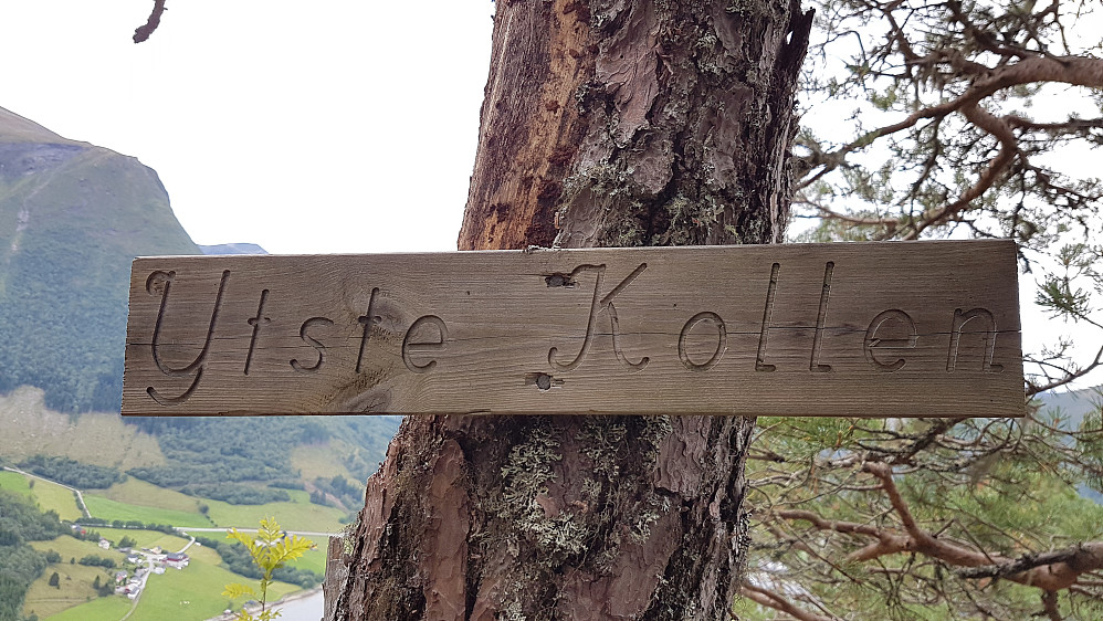 På YTSTE KOLLEN