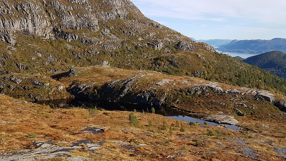 Lågfjellet øst 