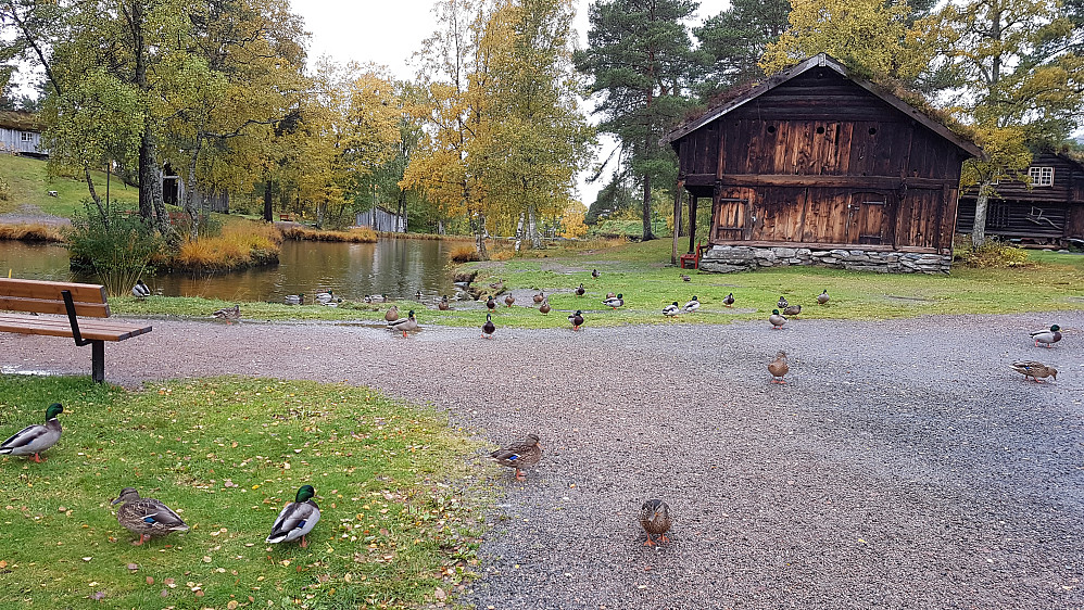 På Romsdalsmuseet